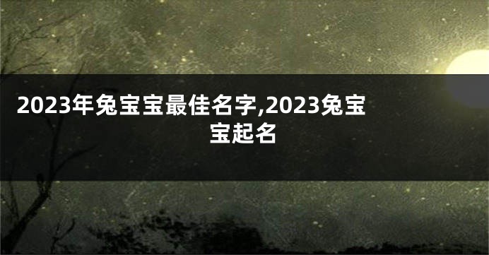 2023年兔宝宝最佳名字,2023兔宝宝起名