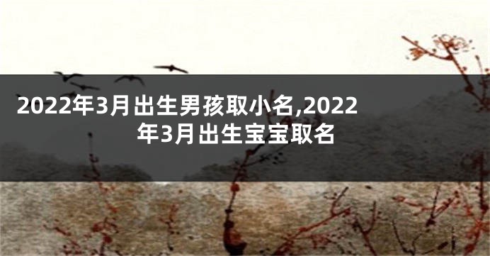 2022年3月出生男孩取小名,2022年3月出生宝宝取名