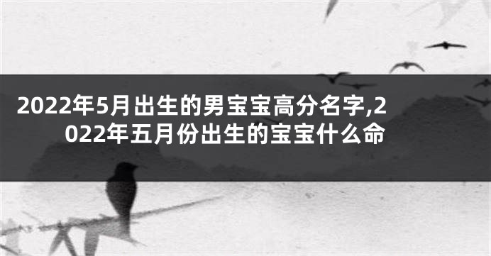 2022年5月出生的男宝宝高分名字,2022年五月份出生的宝宝什么命