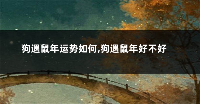 狗遇鼠年运势如何,狗遇鼠年好不好