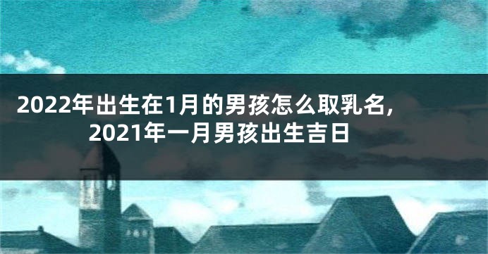 2022年出生在1月的男孩怎么取乳名,2021年一月男孩出生吉日