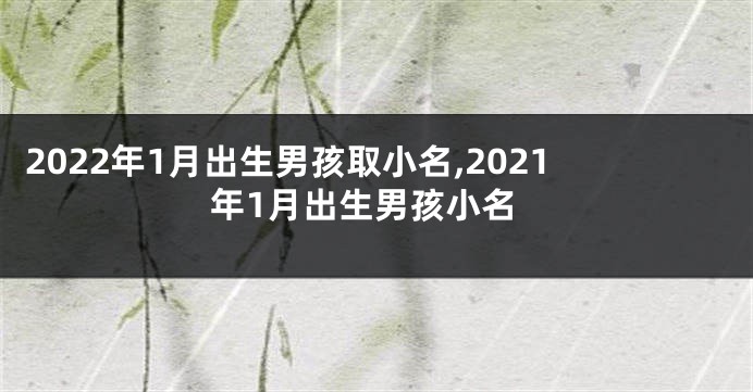 2022年1月出生男孩取小名,2021年1月出生男孩小名