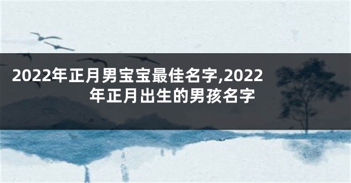2022年正月男宝宝最佳名字,2022年正月出生的男孩名字