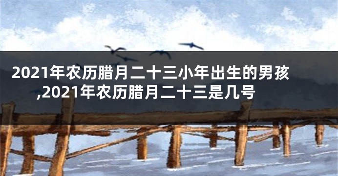 2021年农历腊月二十三小年出生的男孩,2021年农历腊月二十三是几号