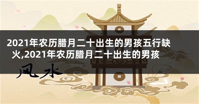 2021年农历腊月二十出生的男孩五行缺火,2021年农历腊月二十出生的男孩