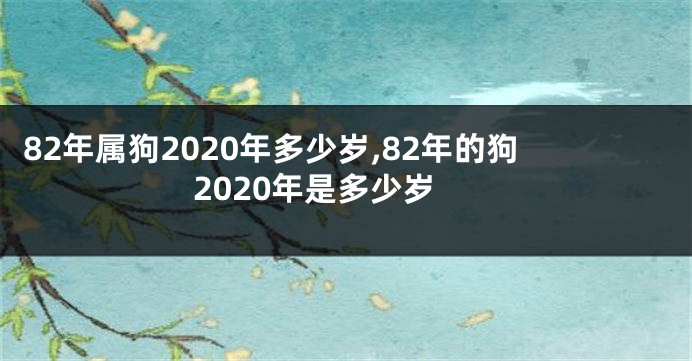 82年属狗2020年多少岁,82年的狗2020年是多少岁