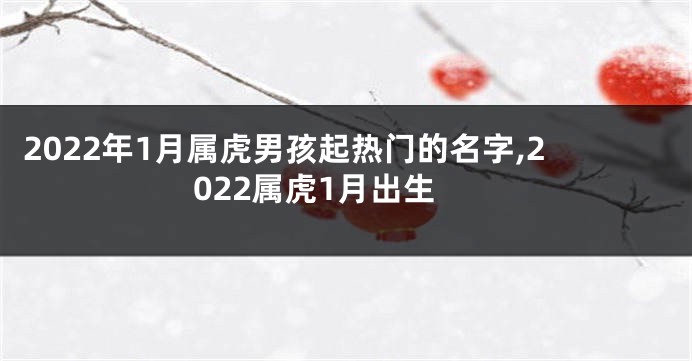 2022年1月属虎男孩起热门的名字,2022属虎1月出生