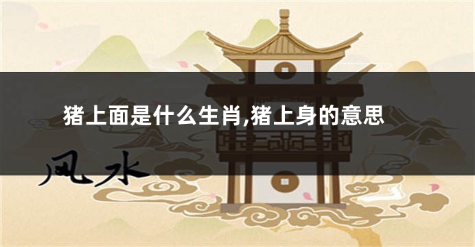猪上面是什么生肖,猪上身的意思