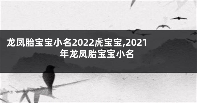 龙凤胎宝宝小名2022虎宝宝,2021年龙凤胎宝宝小名