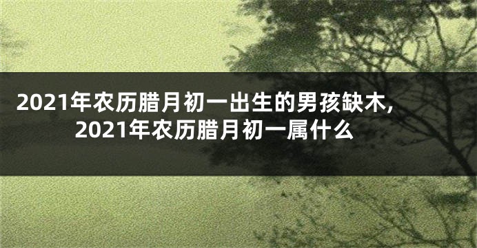 2021年农历腊月初一出生的男孩缺木,2021年农历腊月初一属什么