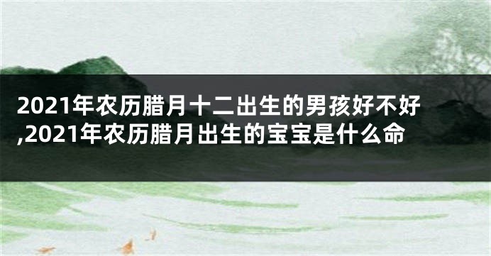 2021年农历腊月十二出生的男孩好不好,2021年农历腊月出生的宝宝是什么命
