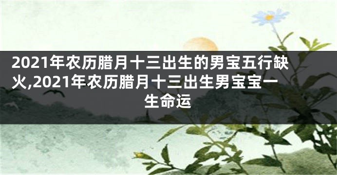 2021年农历腊月十三出生的男宝五行缺火,2021年农历腊月十三出生男宝宝一生命运