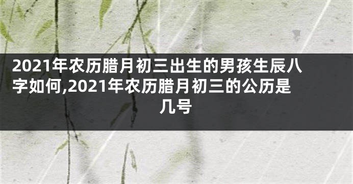 2021年农历腊月初三出生的男孩生辰八字如何,2021年农历腊月初三的公历是几号