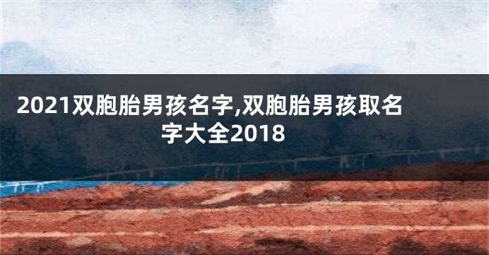 2021双胞胎男孩名字,双胞胎男孩取名字大全2018