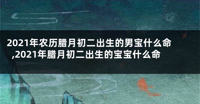 2021年农历腊月初二出生的男宝什么命,2021年腊月初二出生的宝宝什么命