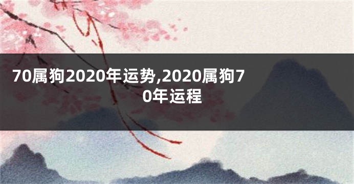 70属狗2020年运势,2020属狗70年运程