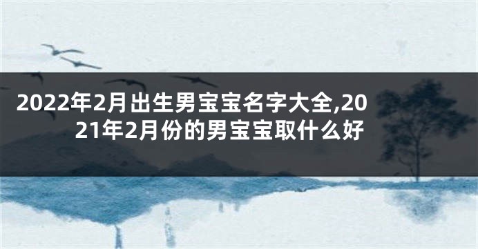 2022年2月出生男宝宝名字大全,2021年2月份的男宝宝取什么好