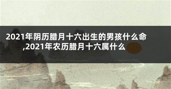 2021年阴历腊月十六出生的男孩什么命,2021年农历腊月十六属什么