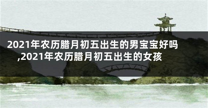 2021年农历腊月初五出生的男宝宝好吗,2021年农历腊月初五出生的女孩