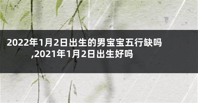 2022年1月2日出生的男宝宝五行缺吗,2021年1月2日出生好吗