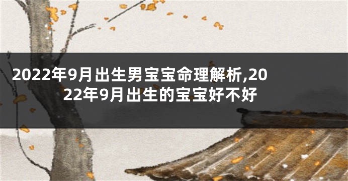 2022年9月出生男宝宝命理解析,2022年9月出生的宝宝好不好