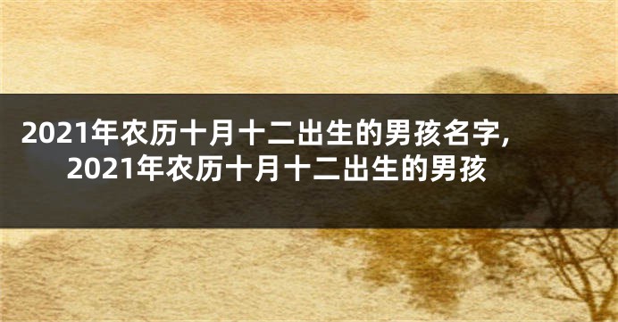 2021年农历十月十二出生的男孩名字,2021年农历十月十二出生的男孩