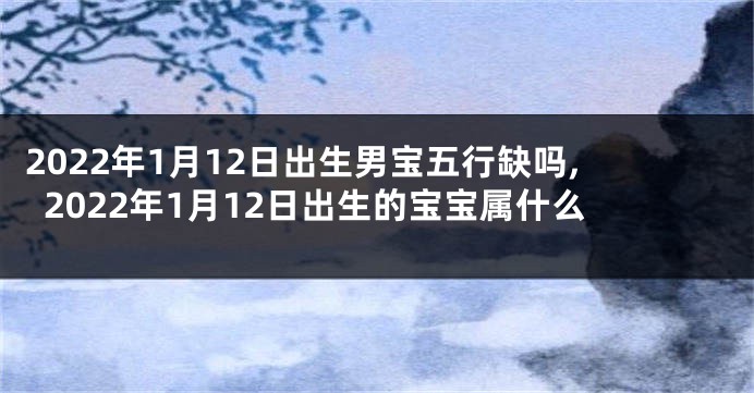 2022年1月12日出生男宝五行缺吗,2022年1月12日出生的宝宝属什么
