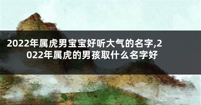 2022年属虎男宝宝好听大气的名字,2022年属虎的男孩取什么名字好