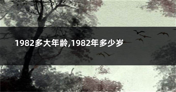 1982多大年龄,1982年多少岁