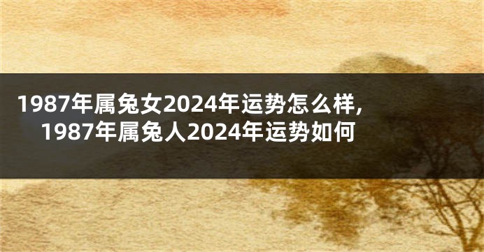 1987年属兔女2024年运势怎么样,1987年属兔人2024年运势如何