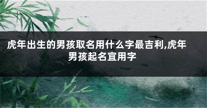 虎年出生的男孩取名用什么字最吉利,虎年男孩起名宜用字