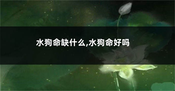 水狗命缺什么,水狗命好吗