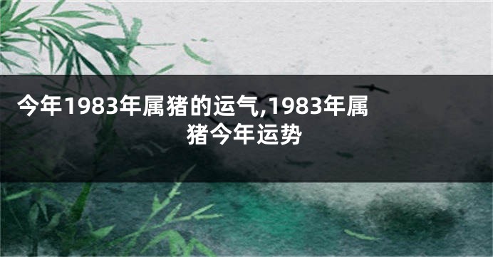 今年1983年属猪的运气,1983年属猪今年运势