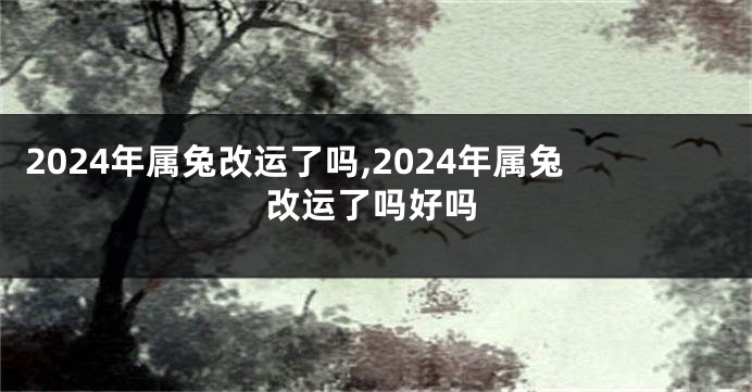 2024年属兔改运了吗,2024年属兔改运了吗好吗