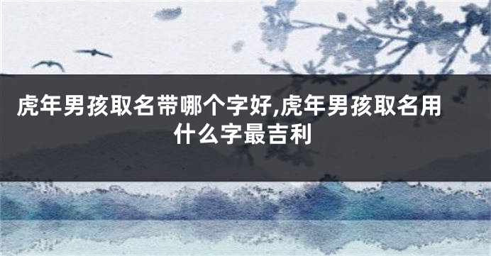 虎年男孩取名带哪个字好,虎年男孩取名用什么字最吉利