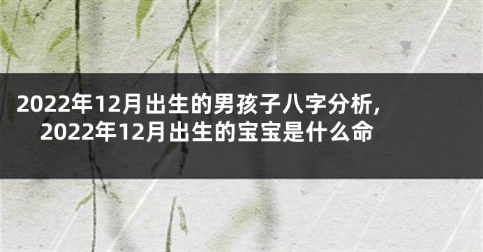 2022年12月出生的男孩子八字分析,2022年12月出生的宝宝是什么命