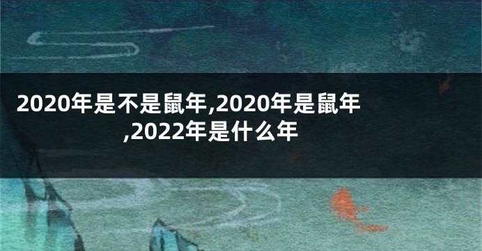 2020年是不是鼠年,2020年是鼠年,2022年是什么年