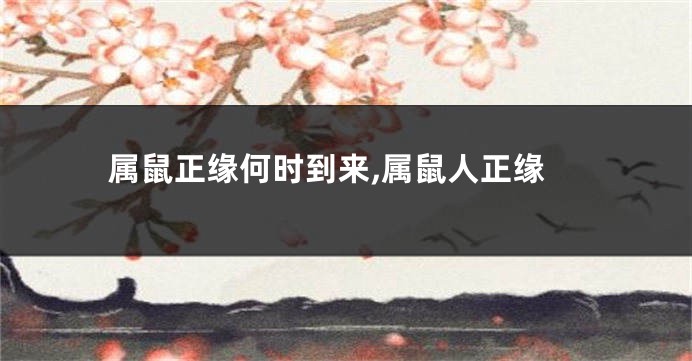 属鼠正缘何时到来,属鼠人正缘