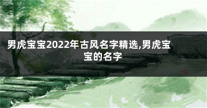 男虎宝宝2022年古风名字精选,男虎宝宝的名字