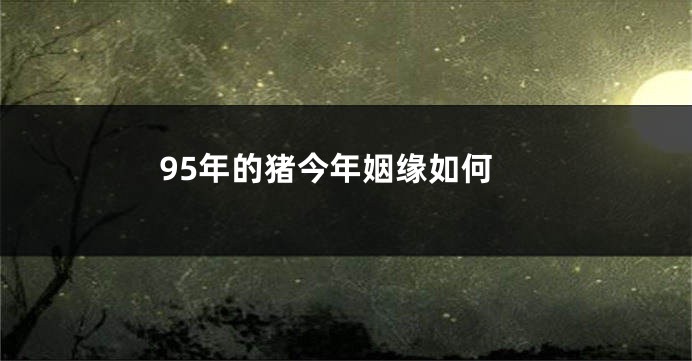 95年的猪今年姻缘如何