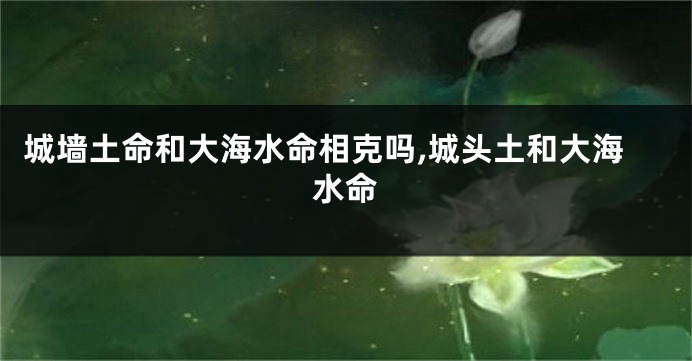 城墙土命和大海水命相克吗,城头土和大海水命