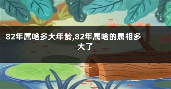 82年属啥多大年龄,82年属啥的属相多大了