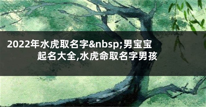 2022年水虎取名字 男宝宝起名大全,水虎命取名字男孩