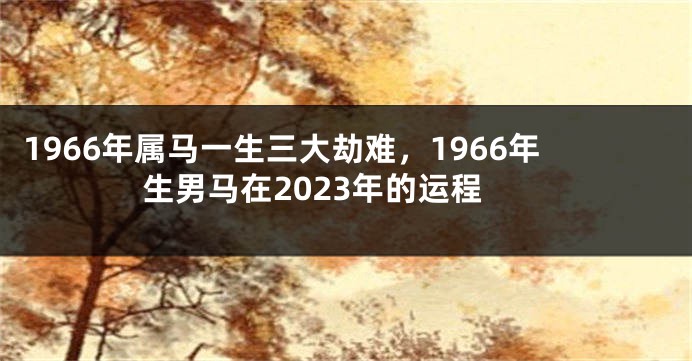 1966年属马一生三大劫难,1966年生男马在2023年的运程