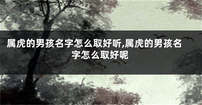 属虎的男孩名字怎么取好听,属虎的男孩名字怎么取好呢