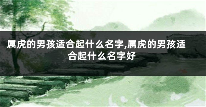 属虎的男孩适合起什么名字,属虎的男孩适合起什么名字好