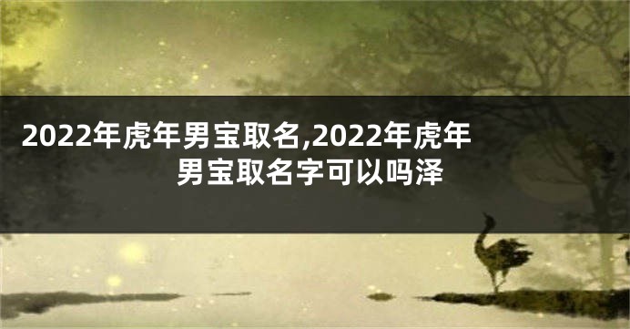 2022年虎年男宝取名,2022年虎年男宝取名字可以吗泽