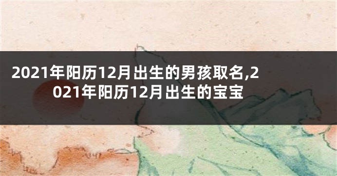 2021年阳历12月出生的男孩取名,2021年阳历12月出生的宝宝