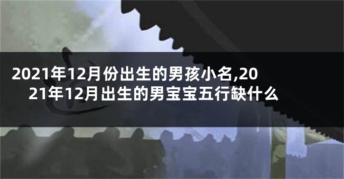 2021年12月份出生的男孩小名,2021年12月出生的男宝宝五行缺什么