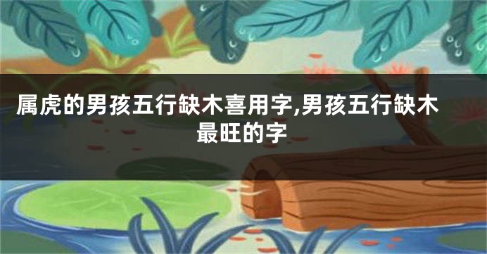属虎的男孩五行缺木喜用字,男孩五行缺木最旺的字
